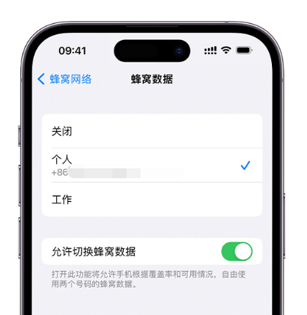 长安镇苹果维修服务分享如何在iPhone上使用双卡 